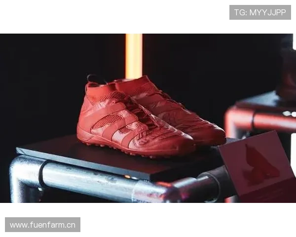 听说贝克汉姆家里堆满限量球鞋，鞋柜都快撑爆了！