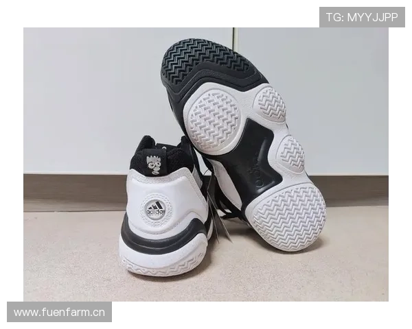 托尼娅·哈丁当年那双冰鞋，现在够买套房了