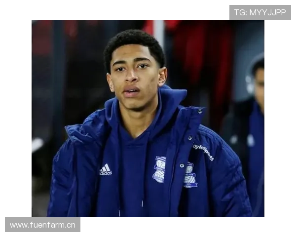 多特蒙德豪门沉沦记：高层引援分歧下的战术迷失，怎解？