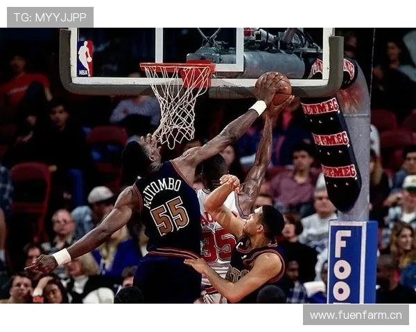 篮球干扰球规则详解：国际篮联与NBA有何不同
