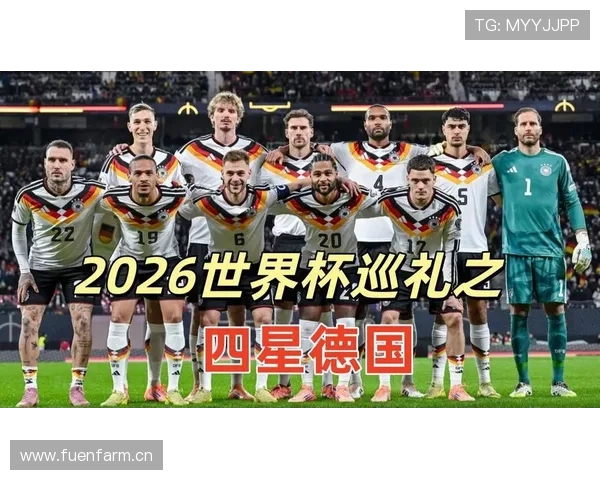 2026世界杯官方排名标准详解